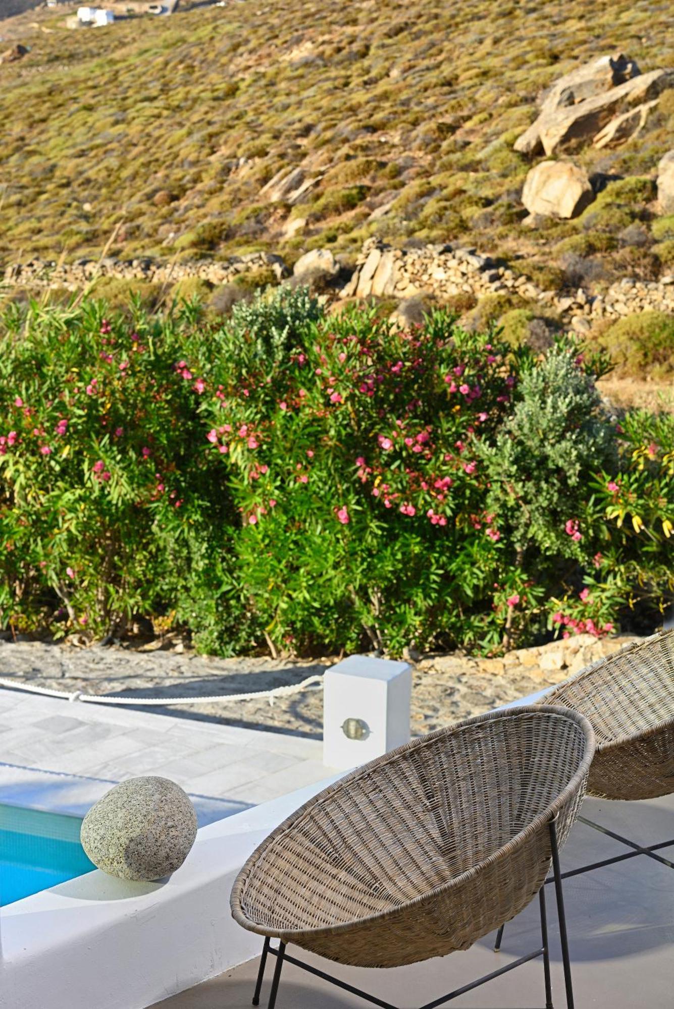 Mykonos Dream Villas Ftelia  ภายนอก รูปภาพ